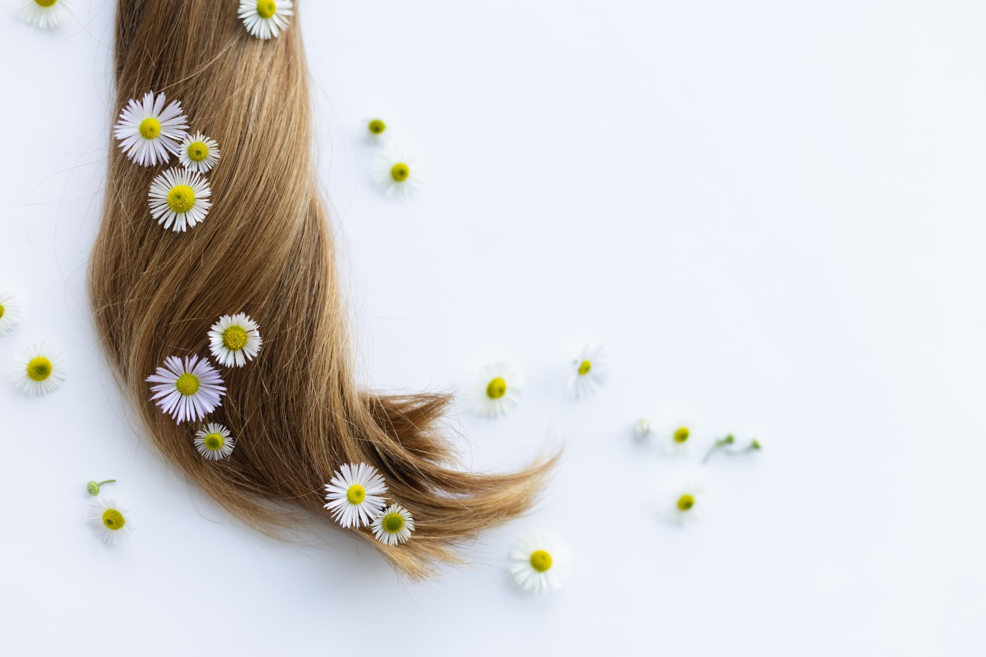 毎日のヘアケアが美髪への第一歩