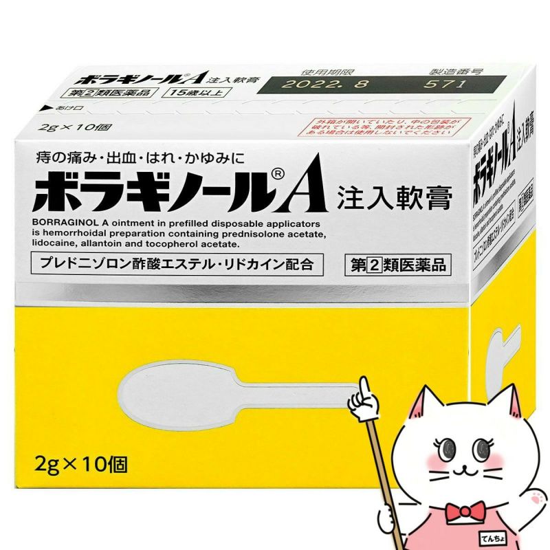 通販　【指定第2類医薬品】ボラギノールA 注入軟膏 2g×10個【天藤製薬株式会社】