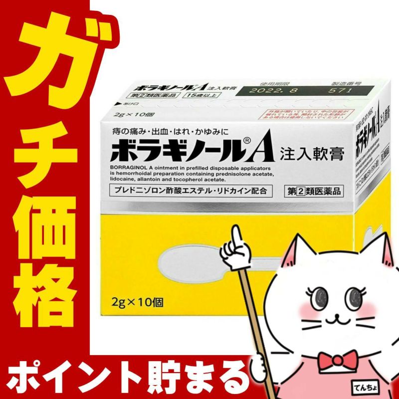 通販　【指定第2類医薬品】ボラギノールA 注入軟膏 2g×10個【天藤製薬株式会社】