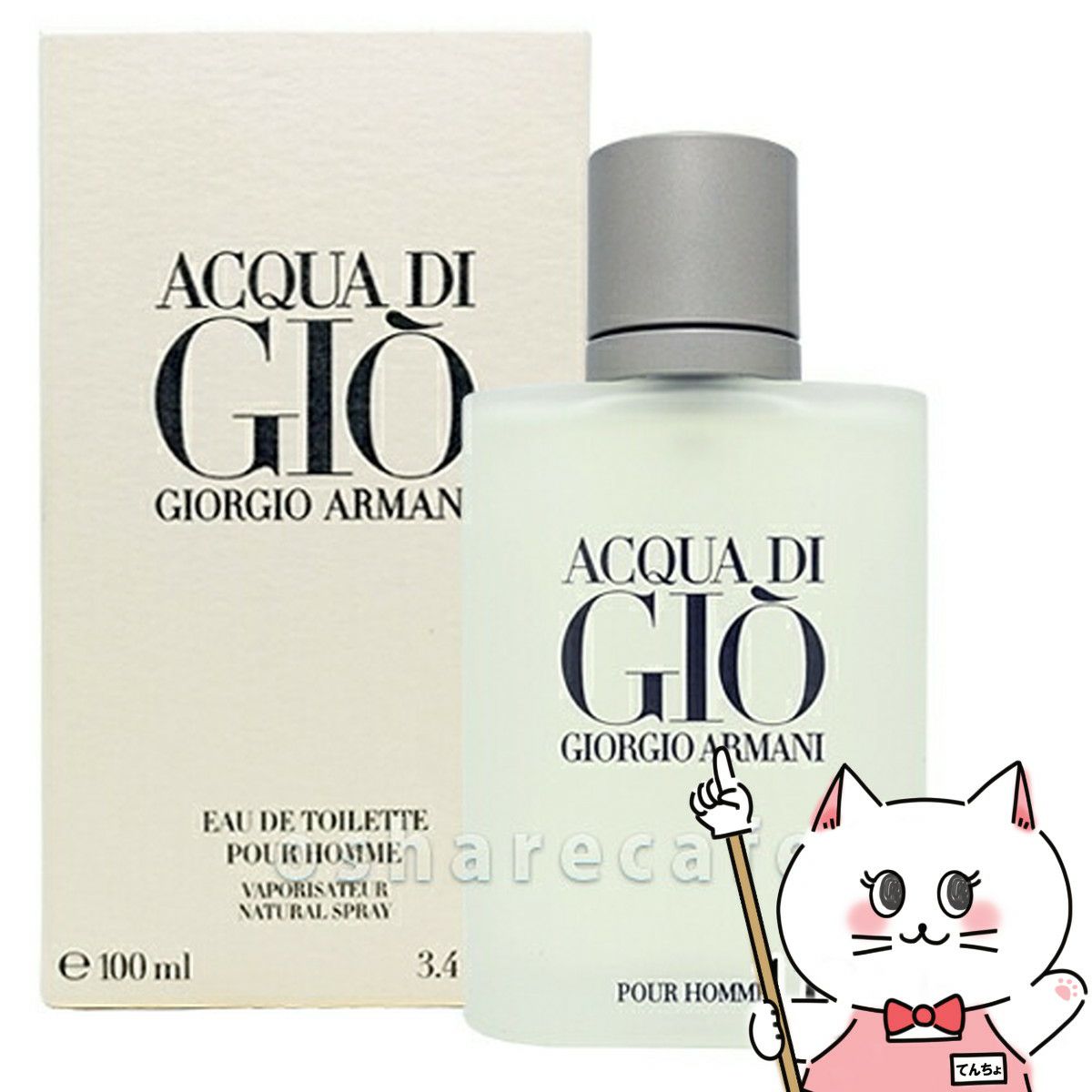 ジョルジオアルマーニ アクアディジオプールオム EDT 100ml SP(オードトワレ)