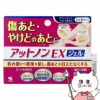 コスメ通販　【第2類医薬品】アットノンEXジェル 15g