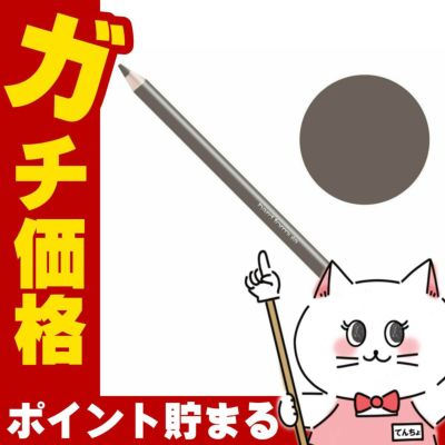 コスメ通販　シュウウエムラ ハードフォーミュラ ハード9 シールブラウン02×24本