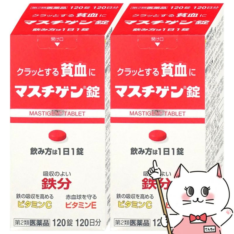 通販　【第2類医薬品】マスチゲン錠 120錠×2個【日本臓器製薬株式会社】