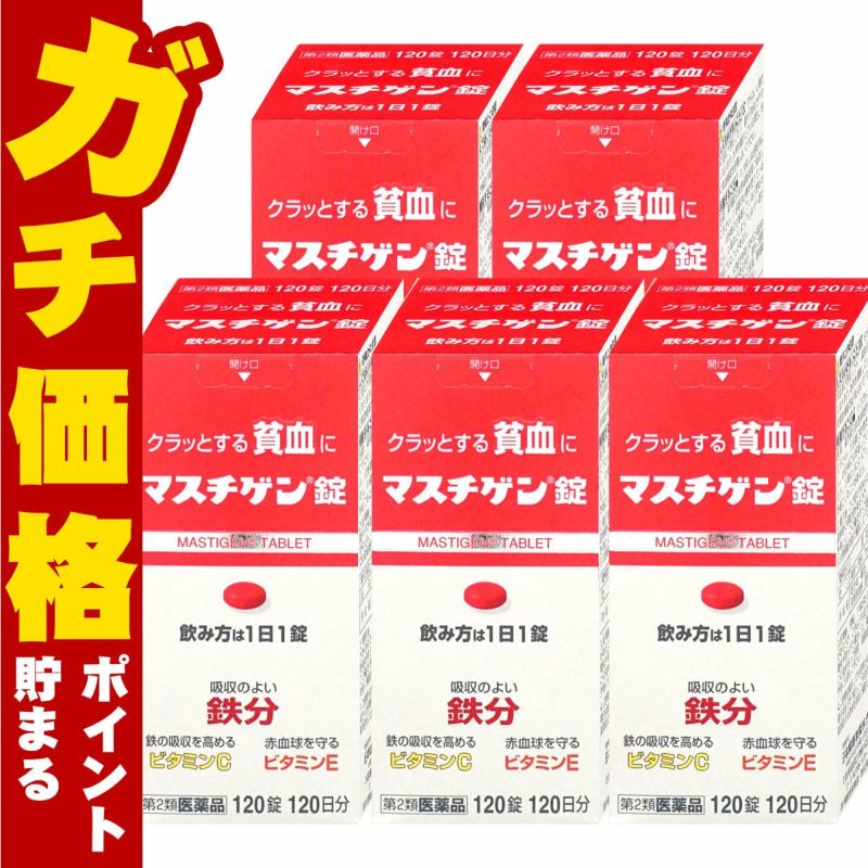 通販　【第2類医薬品】マスチゲン錠 120錠×5個【日本臓器製薬株式会社】