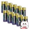 通販　【セット】TOSHIBA 東芝 アルカリ乾電池 単3形2本パック×10個セット(20本) LR6AG/2KP 【シュリンクパック】