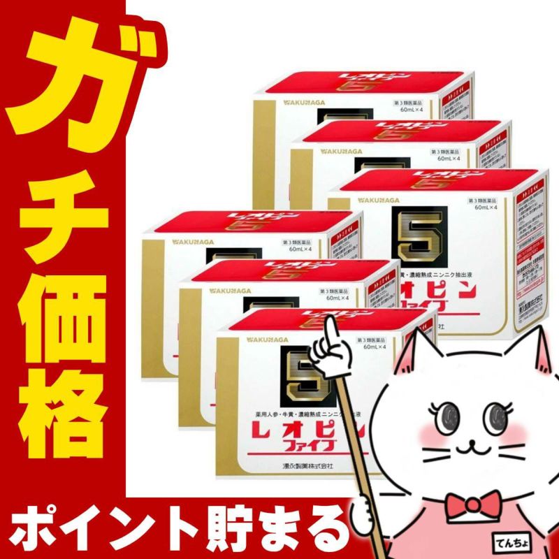 通販　【第3類医薬品】【セット】レオピンファイブw 60ml×4本×6個【滋養強壮・肉体疲労】【湧永製薬株式会社】