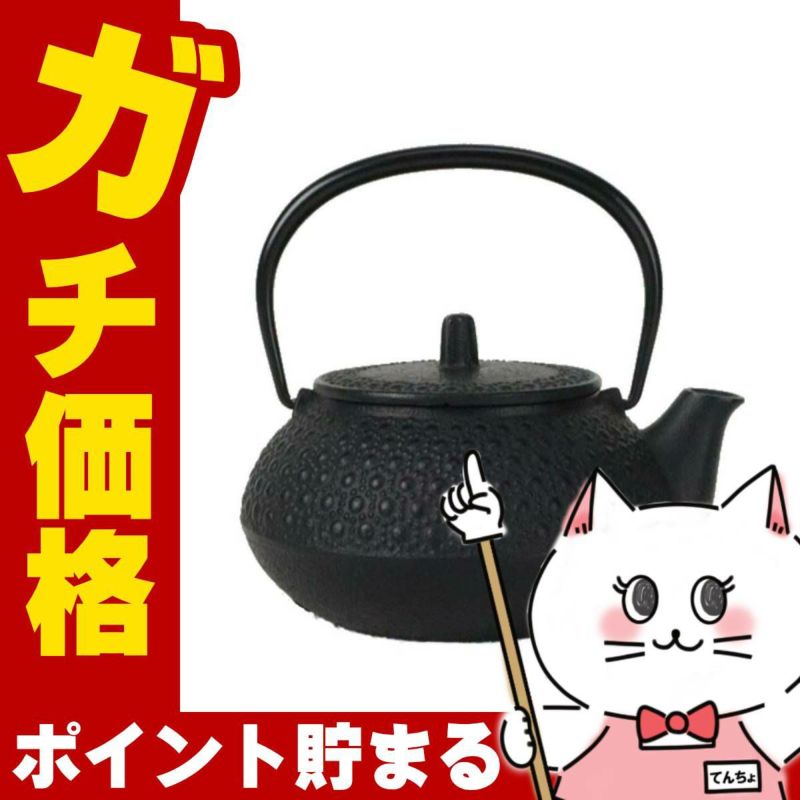 通販　岩鋳 12804 鉄瓶兼用急須新 5型亀甲【南部鉄器 直火対応 日本製】