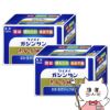 【第2類医薬品】【セット】恵命我神散S 120包×2個