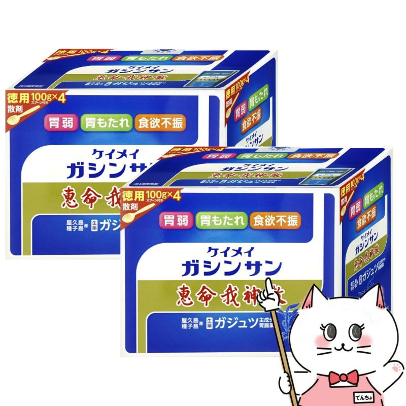 【第2類医薬品】【セット】恵命我神散 400g×2個
