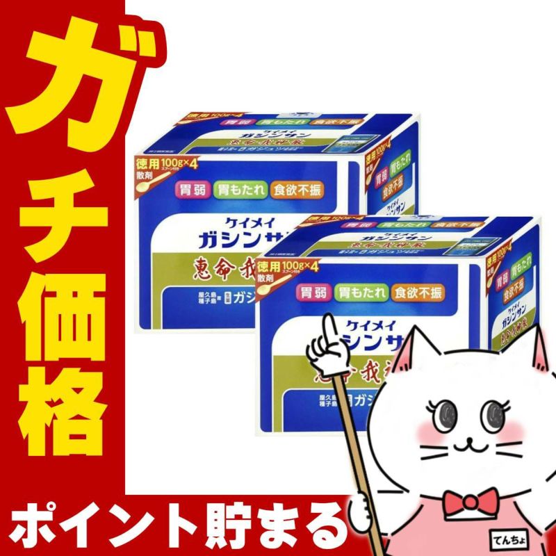 【第2類医薬品】【セット】恵命我神散 400g×2個