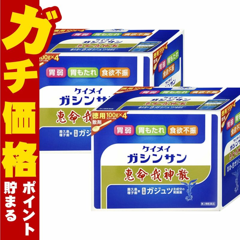 【第2類医薬品】【セット】恵命我神散 400g×2個