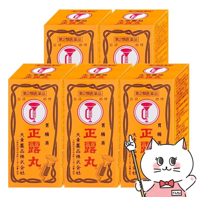 【第2類医薬品】【セット】正露丸 100錠×5個