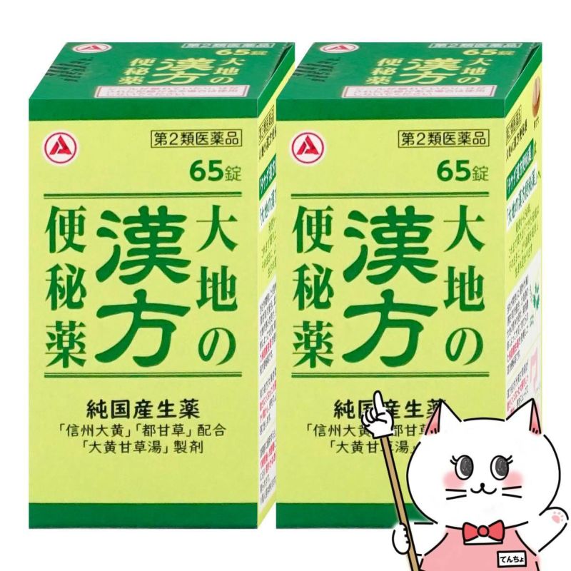 【第2類医薬品】【セット】大地の漢方便秘薬 65錠×2個