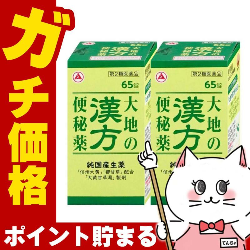 【第2類医薬品】【セット】大地の漢方便秘薬 65錠×2個