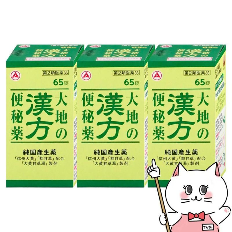 【第2類医薬品】【セット】大地の漢方便秘薬 65錠×3個