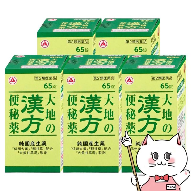 【第2類医薬品】【セット】大地の漢方便秘薬 65錠×5個