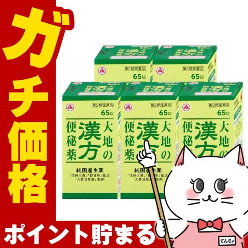 【第2類医薬品】【セット】大地の漢方便秘薬 65錠×5個