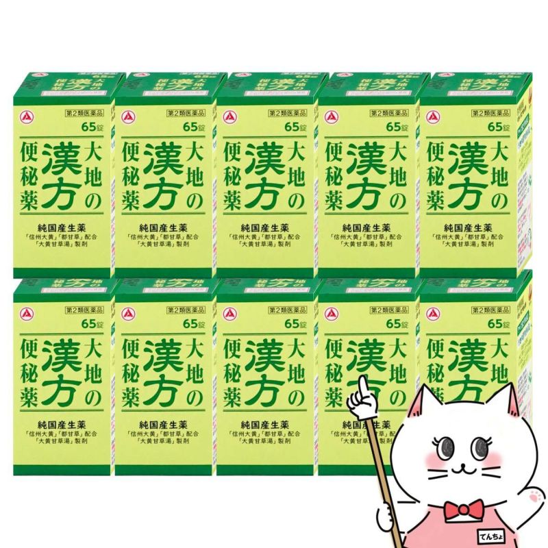 【第2類医薬品】【セット】大地の漢方便秘薬 65錠×10個