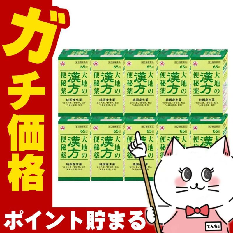 【第2類医薬品】【セット】大地の漢方便秘薬 65錠×10個