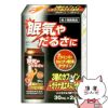 【第3類医薬品】ハイエナル 88 内服液 30ml×2本入