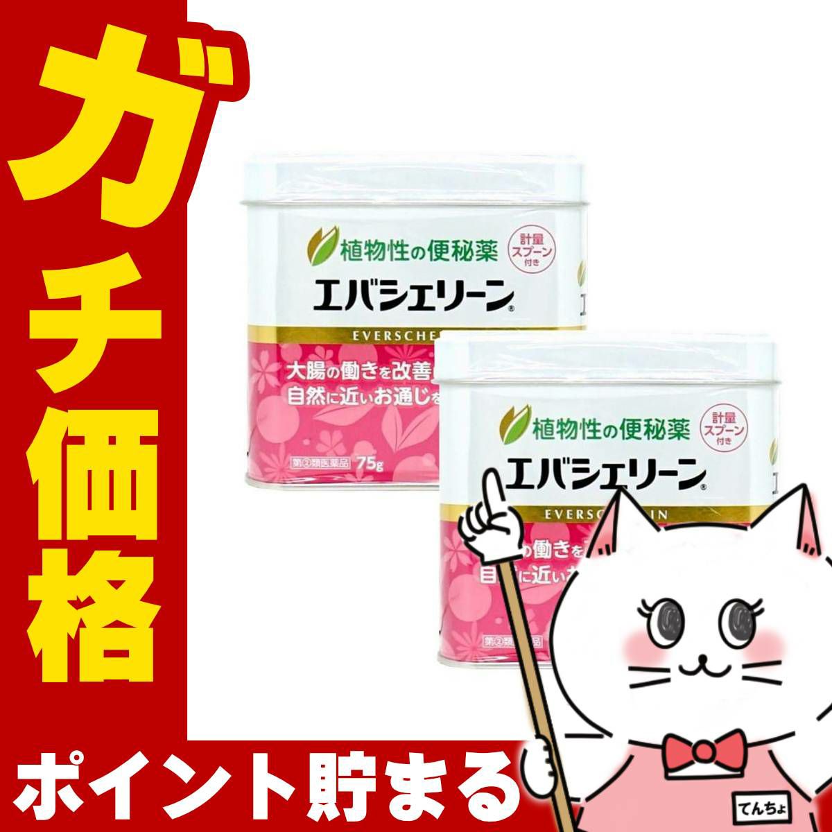 【指定第2類医薬品】【セット】エバシェリーン 75g×2個