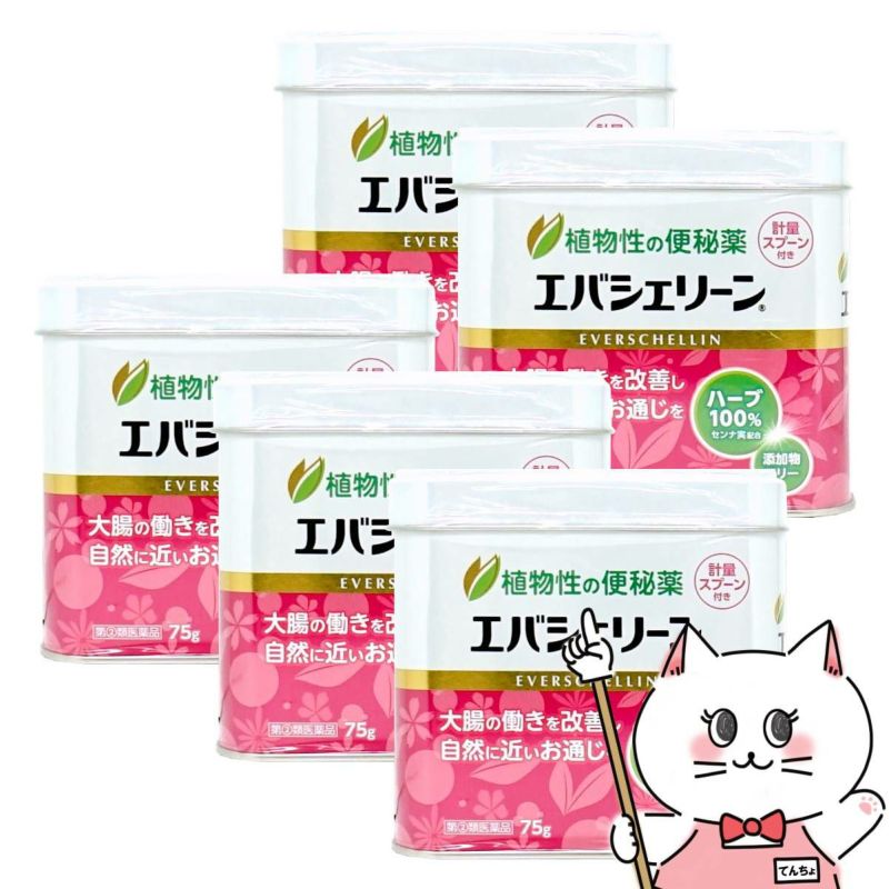 【指定第2類医薬品】【セット】エバシェリーン 75g×5個