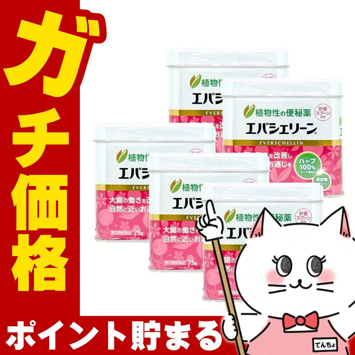 【指定第2類医薬品】【セット】エバシェリーン 75g×5個