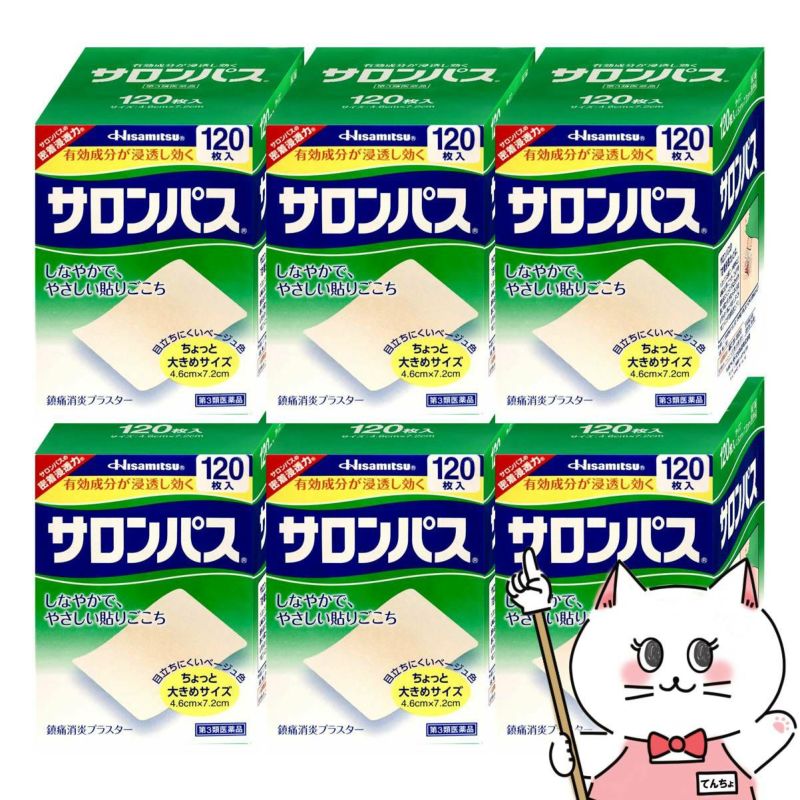 【第3類医薬品】【セット】サロンパス 120枚×6個