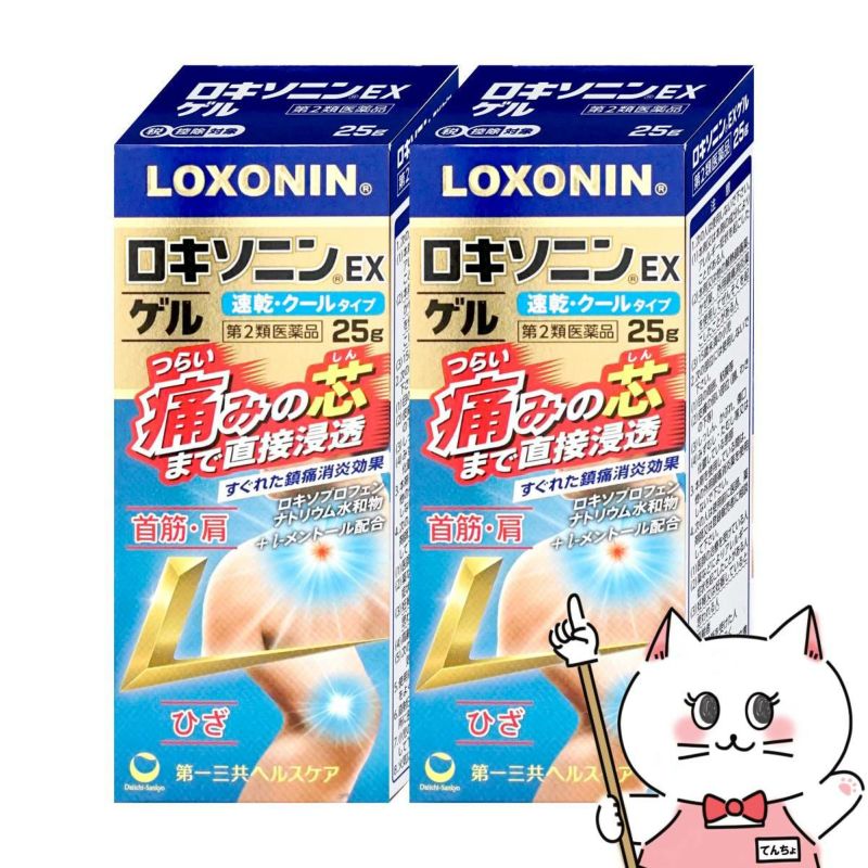 【第2類医薬品】【セット】ロキソニンEXゲル 25g×2個