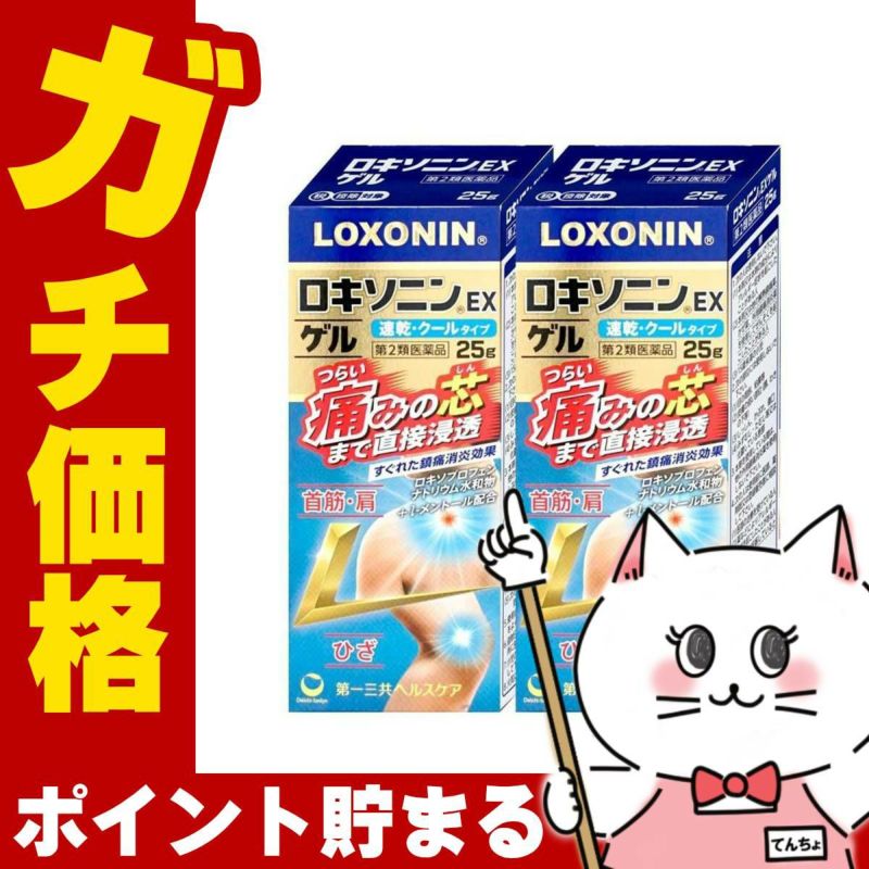 【第2類医薬品】【セット】ロキソニンEXゲル 25g×2個