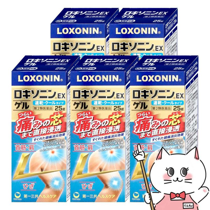 【第2類医薬品】【セット】ロキソニンEXゲル 25g×5個