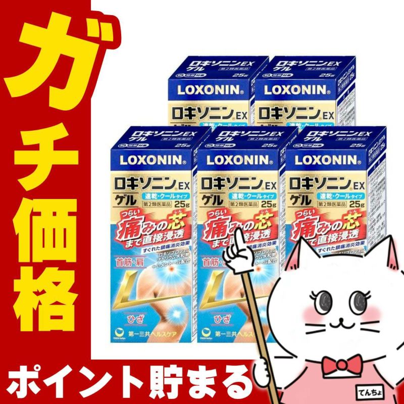 【第2類医薬品】【セット】ロキソニンEXゲル 25g×5個