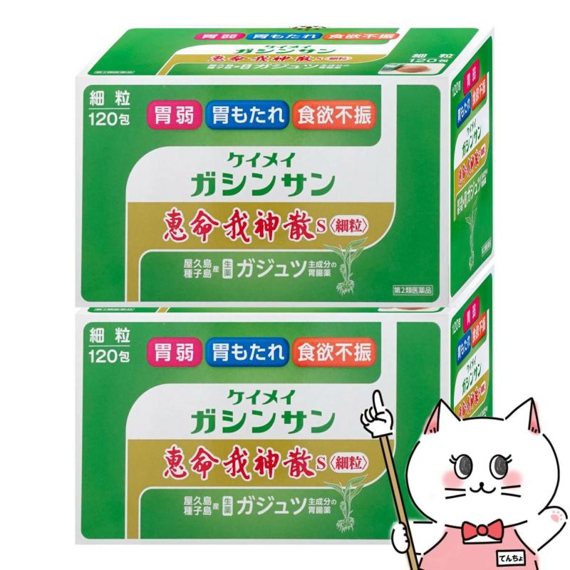 【第2類医薬品】【セット】恵命我神散S 細粒 120包×2個