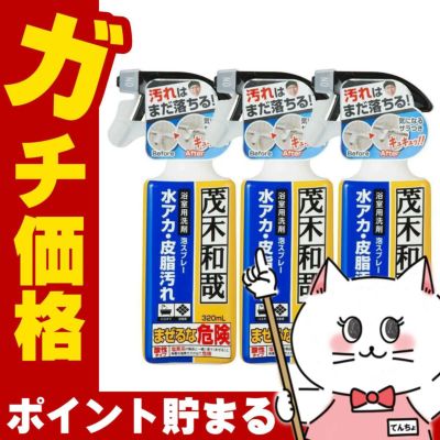 【セット】レック 茂木和哉おふろのなまはげ 320ml×3個 C00251