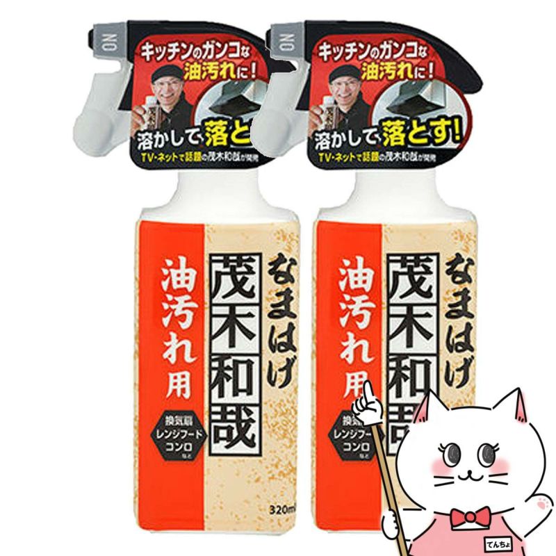 【セット】レック 茂木和哉なまはげ 油汚れ用 320ml×2個 C00250