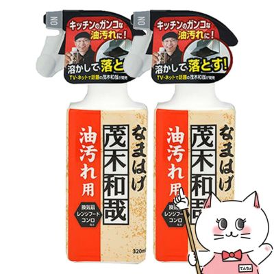 【セット】レック 茂木和哉なまはげ 油汚れ用 320ml×2個 C00250