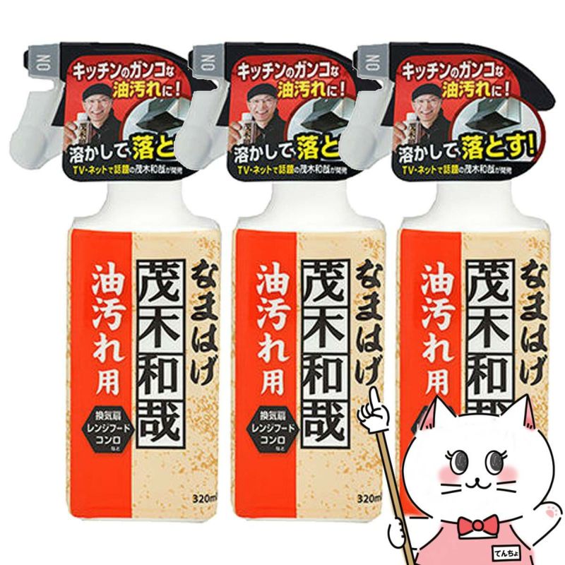 【セット】レック 茂木和哉なまはげ 油汚れ用 320ml×3個 C00250