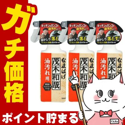 【セット】レック 茂木和哉なまはげ 油汚れ用 320ml×3個 C00250