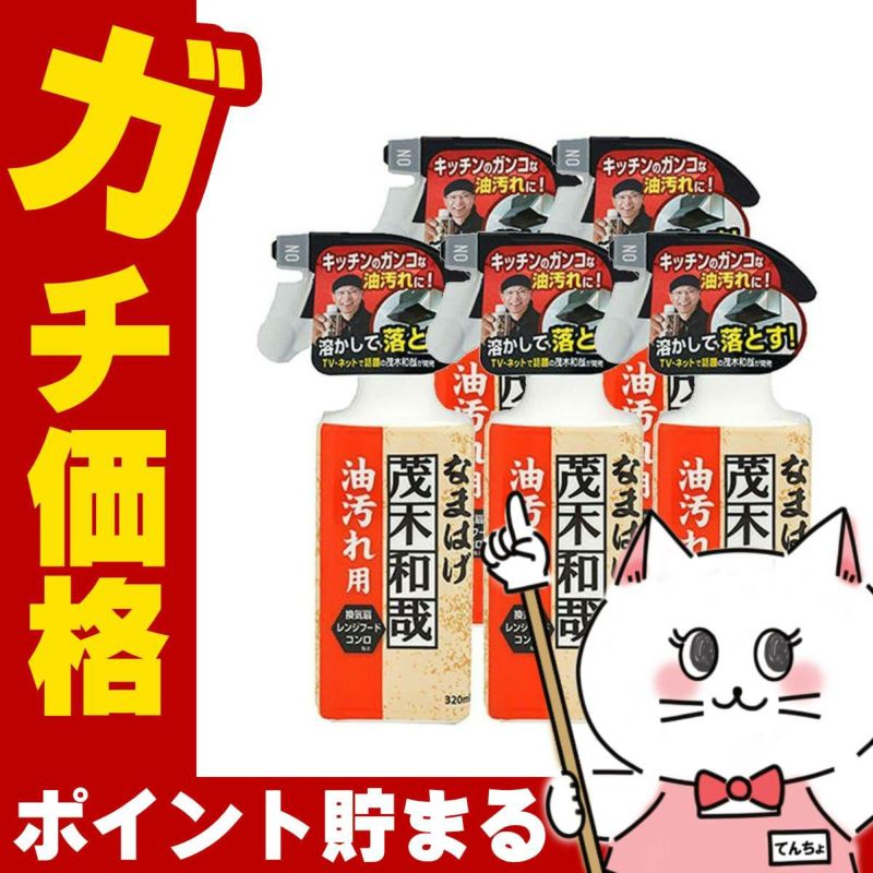 【セット】レック 茂木和哉なまはげ 油汚れ用 320ml×5個 C00250