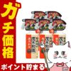 【セット】レック 茂木和哉なまはげ 油汚れ用 320ml×5個 C00250