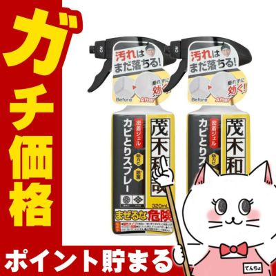 【セット】レック 茂木和哉カビとりジェルスプレー 320ml×2個 C00404