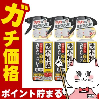 【セット】レック 茂木和哉カビとりジェルスプレー 320ml×3個 C00404