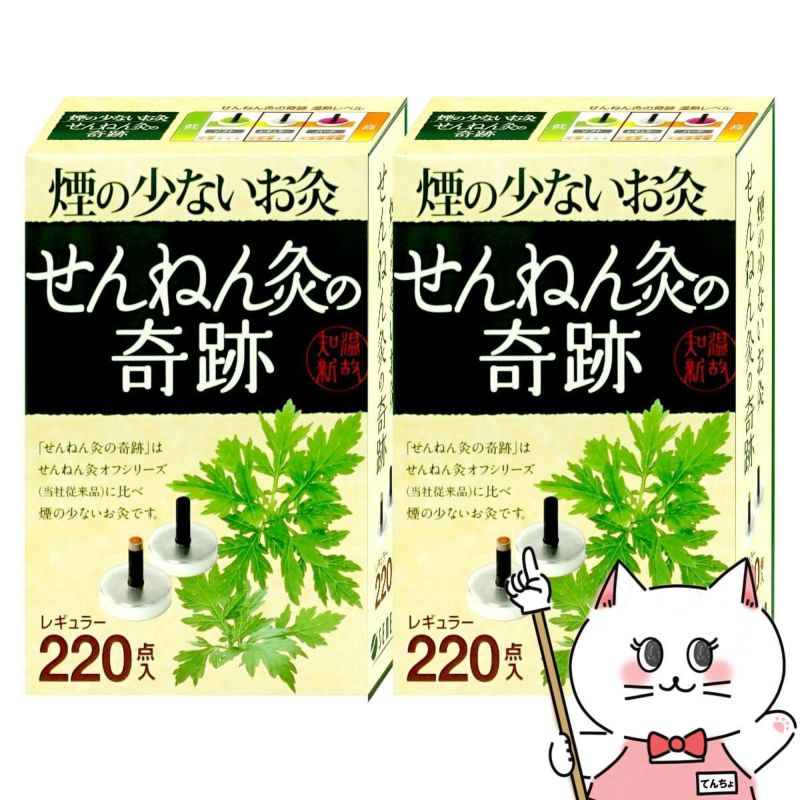 【セット】煙の少ないお灸 せんねん灸の奇跡 レギュラー 220点入×2個