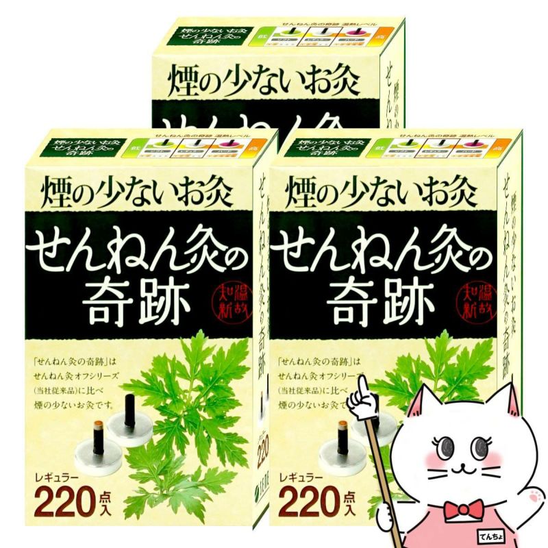 【セット】煙の少ないお灸 せんねん灸の奇跡 レギュラー 220点入×3個