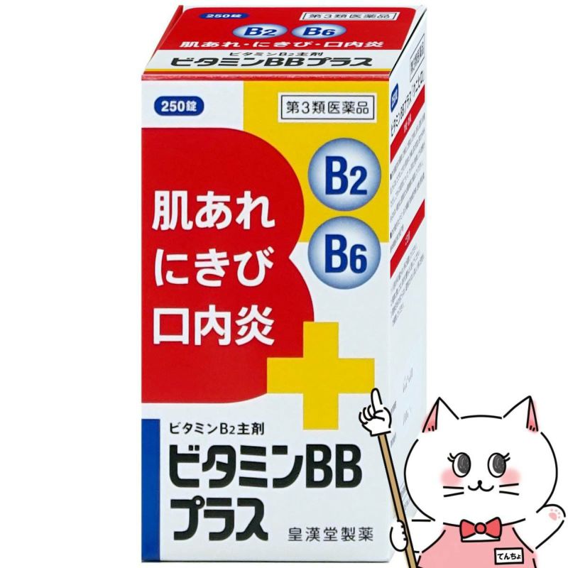 【第3類医薬品】ビタミンBBプラス｢クニヒロ｣ 250錠