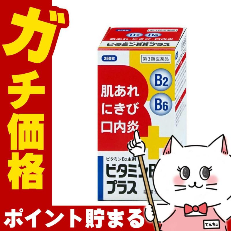 【第3類医薬品】ビタミンBBプラス｢クニヒロ｣ 250錠