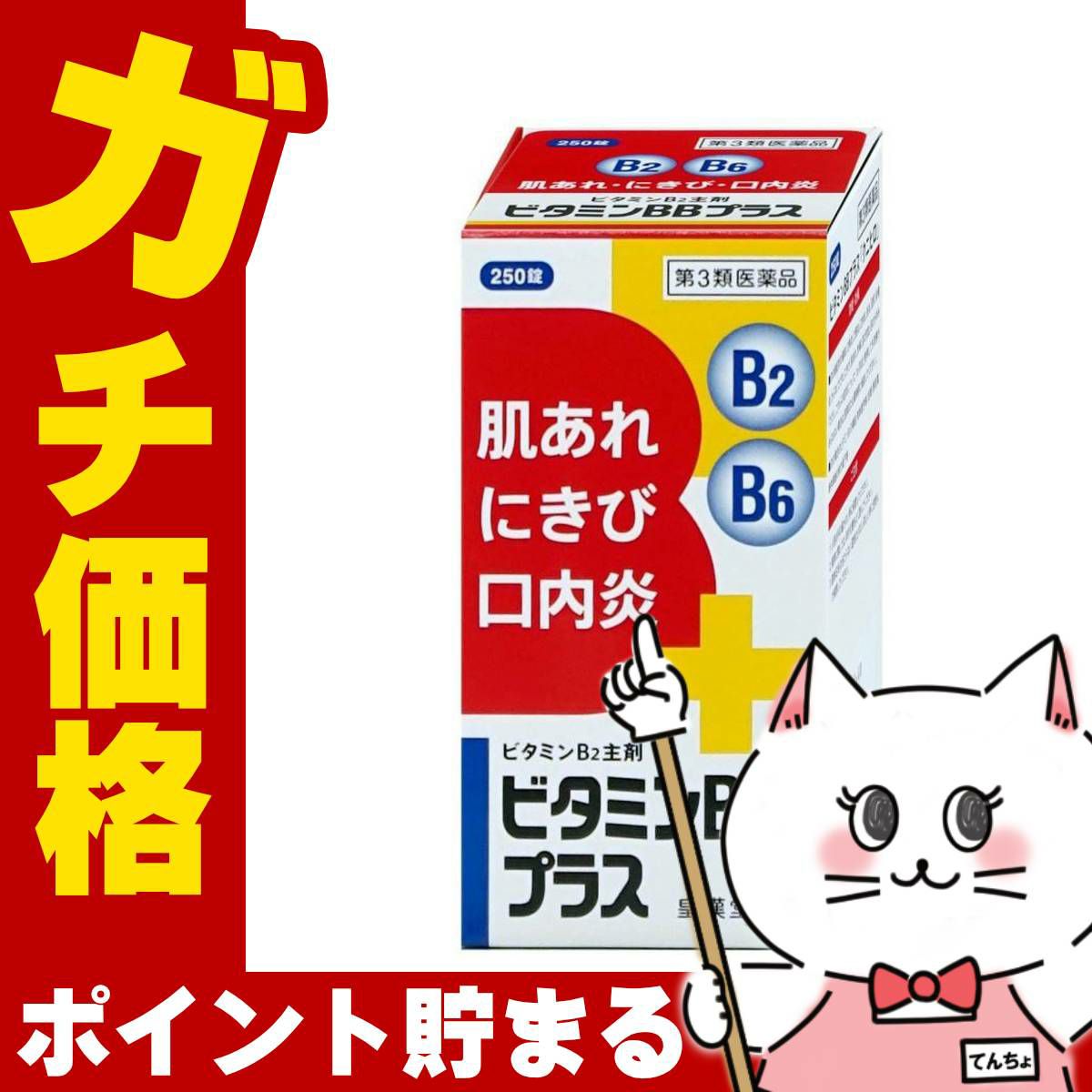【第3類医薬品】ビタミンBBプラス｢クニヒロ｣ 250錠