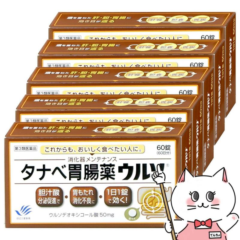タナベ胃腸薬ウルソ 60錠×5個