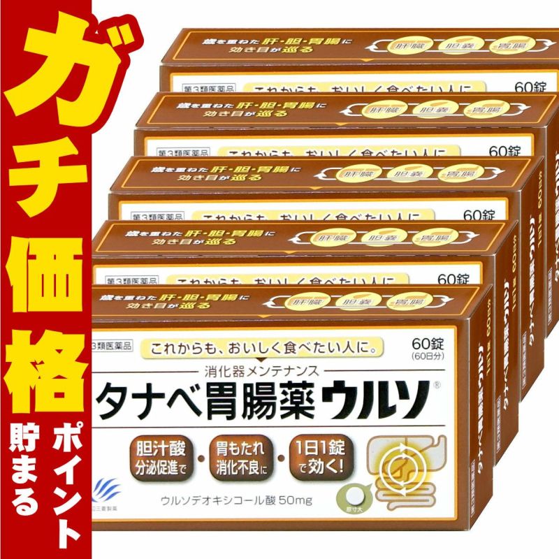 タナベ胃腸薬ウルソ 60錠×5個