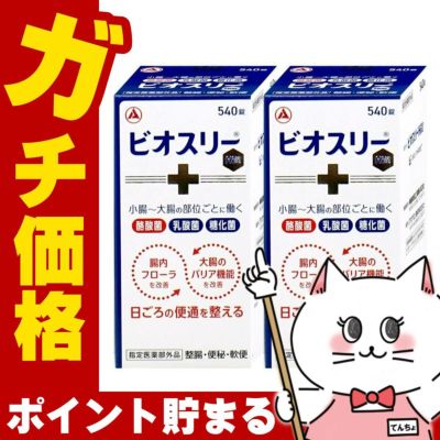 ビオスリーHi錠 540錠×2個
